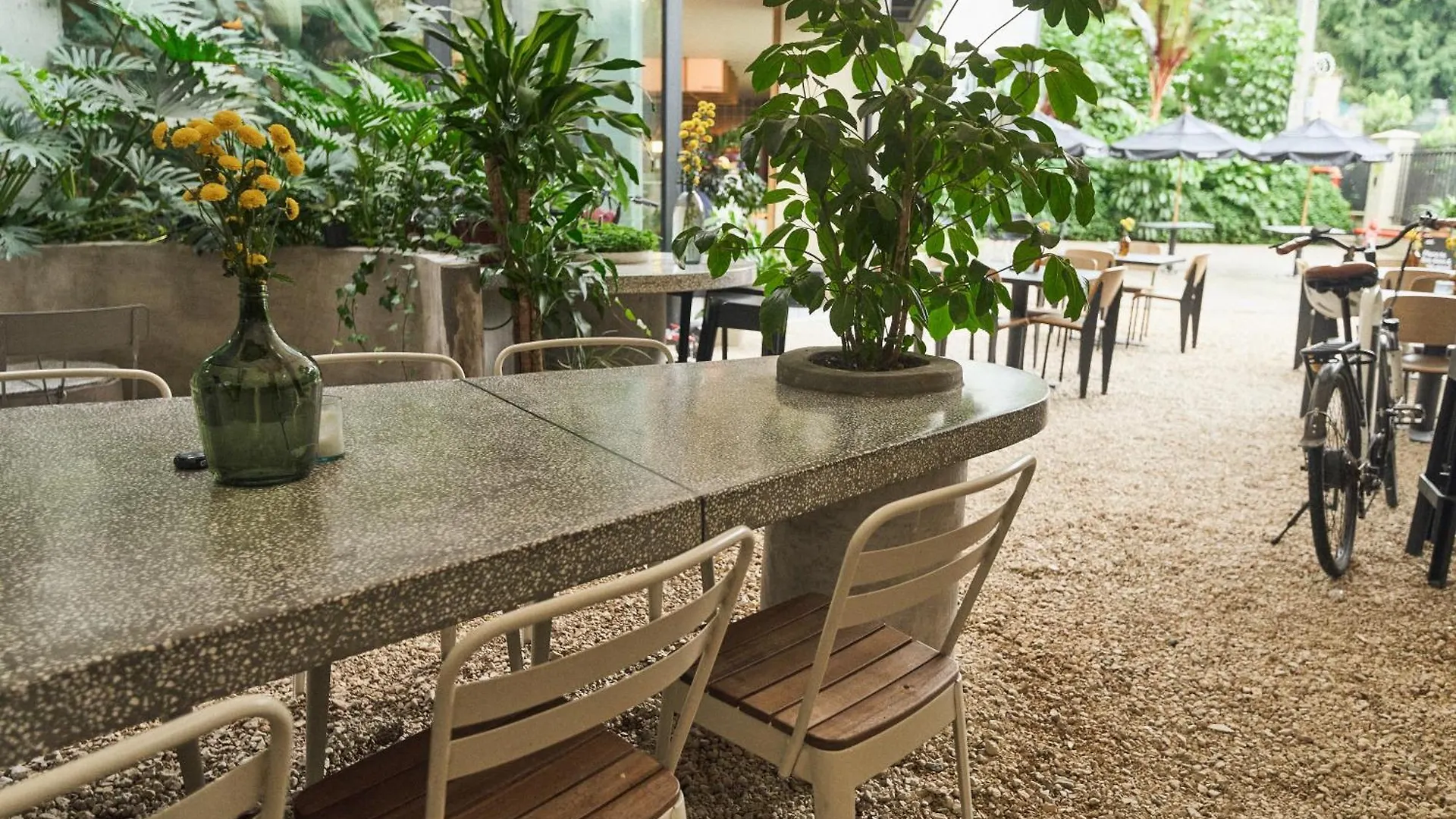 ****  The Somos Central Hotel Poblado Medellin Colombia